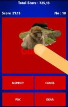 Scratch And Guess Animals游戏截图4