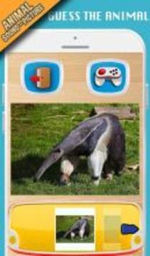 Animal sounds+pictures App For kids游戏截图4