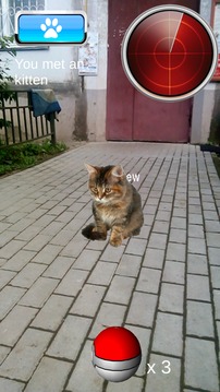 Pocket Kitten GO游戏截图1