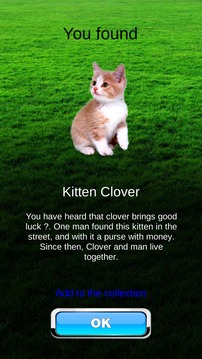 Pocket Kitten GO游戏截图4