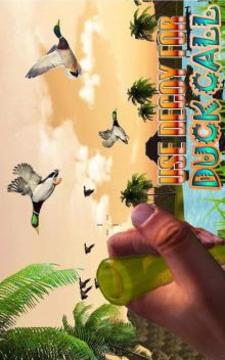 Duck Hunting game 3D游戏截图1