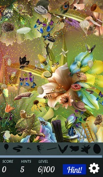 Hidden Object - Flower Power游戏截图2