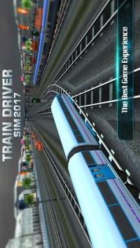 Train Driver Sim 2017游戏截图1