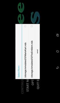 Free DS Emulator游戏截图5
