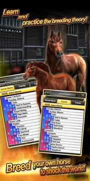 Real Horse Racing (3D)游戏截图2