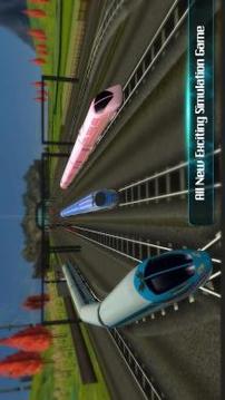 Train Driver Sim 2017游戏截图5