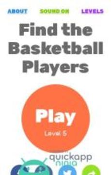 Basketball Puzzle Name游戏截图4