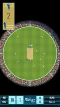 Pro Cricket 2017游戏截图3