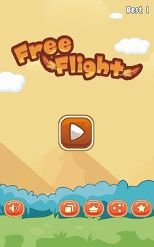 Free Flight游戏截图5