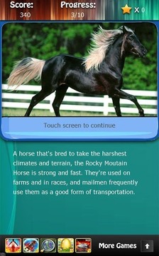 Horse Breeds and Pony Quiz HD游戏截图2