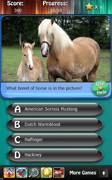 Horse Breeds and Pony Quiz HD游戏截图4