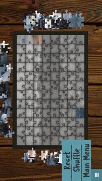 Free Jigsaw Puzzles by Sudo Games游戏截图5