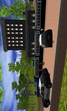 anarchy prisoner cops train游戏截图4