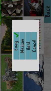 Free Jigsaw Puzzles by Sudo Games游戏截图4