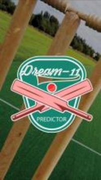 Dream 11 Predictor游戏截图1