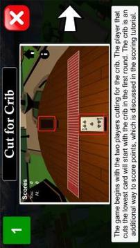 Cribbage 3D游戏截图1