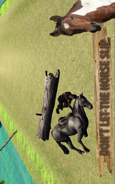 Horse Riding Adventure游戏截图5