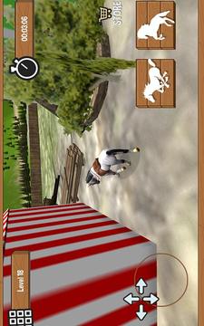 Horse Riding Race 3D游戏截图3