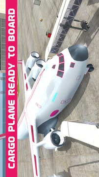 Air Drop Cargo Plane Airport游戏截图1