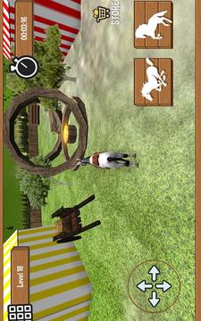 Horse Riding Race 3D游戏截图4