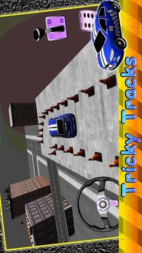 Roof Car Stunt 3D游戏截图5