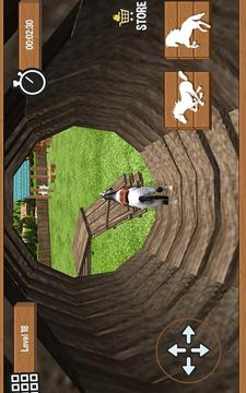 Horse Riding Race 3D游戏截图1