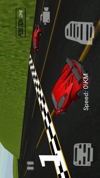 Extreme 3D Car Racing游戏截图3