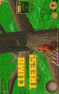 Squirrel Simulator游戏截图2