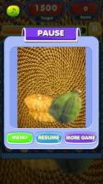 Dry Fruit Link游戏截图5