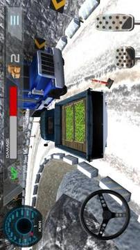 Truck Driver Simulator 3D游戏截图2