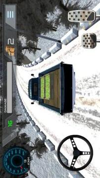 Truck Driver Simulator 3D游戏截图4
