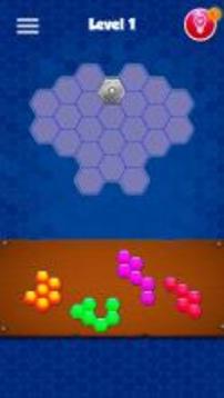 Hexa Puzzle - Block Magic游戏截图5