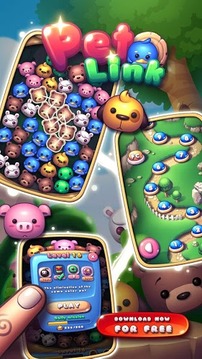 Pet Link游戏截图1