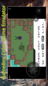 gGBC (Game Emulator)游戏截图1