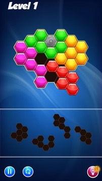 Hexa Puzzle Block游戏截图2