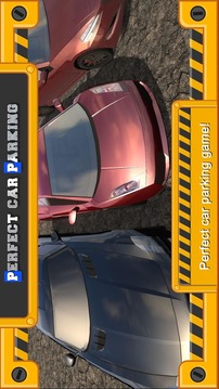 Perfect Car Parking 3D游戏截图2