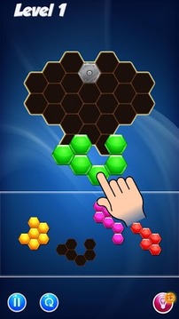 Hexa Puzzle Block游戏截图3