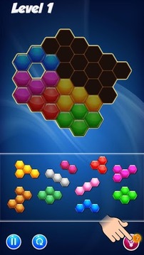 Hexa Puzzle Block游戏截图4