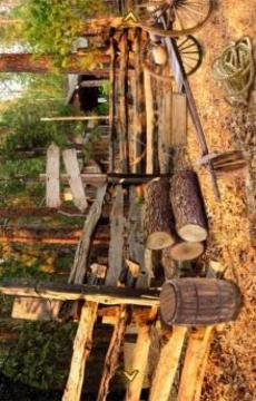 Can You Escape - Village游戏截图1