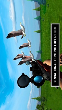 狙击手鸟类狩猎冒险游戏截图1
