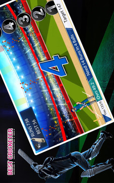 Real cricket player游戏截图2