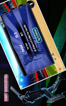 Real cricket player游戏截图3