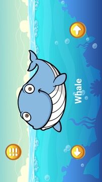 Ocean Animal Games For Kids游戏截图5