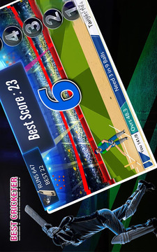 Real cricket player游戏截图1