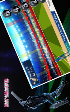 Real cricket player游戏截图4