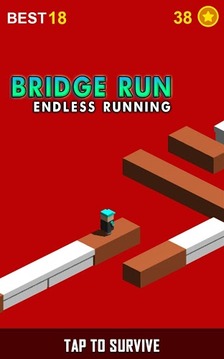 Bridge Run – Endless Running游戏截图1