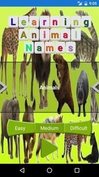 Animal Names Learning游戏截图1