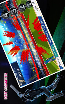 Real cricket player游戏截图5