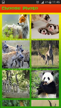 Wild Animals Pictures Puzzle游戏截图4