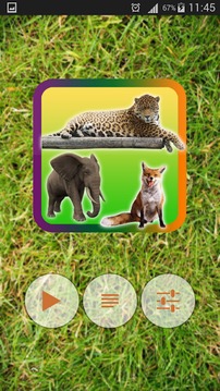 Wild Animals Pictures Puzzle游戏截图2